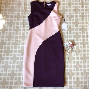 NWT Calvin Klein Pink and Purple Dress Size 4